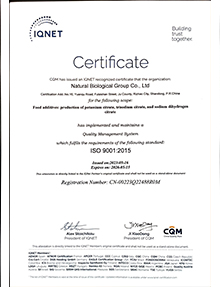 質(zhì)量管理體系IQNET